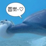 [드루와] 나 낼부터 <b>배라</b> 알바함