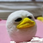 혹시 국어나 영어 지문 <b>얼레벌레</b> 읽는 애들