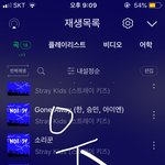 [스키즈] <b>주얼</b>앨범은 초동 기간내 못사는거지?