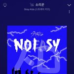 [스키즈] 진짜 리노랑 버블하다보면