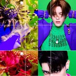 [NCT칠프] ㅋㅋ 얼굴로 케이팝을 찢어