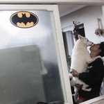 보카 <b>어원</b>편 있는 사람 ㅠ