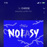 [스키즈] 다들 자기 전에 스밍 안 끊기게 확인 한 번만 하고 <b>자자</b>❤️