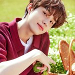 [NCT칠프] 네이처 존예다진짜 한장씩만 골라옴