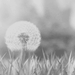 [아이콘] 이거 <b>레알</b>