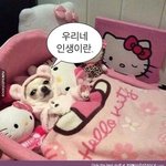 애들아 진짜 <b>암기</b>머리 ㅈ도없는데