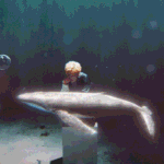 미래소년 뮤비 <b>CG</b> 어느팀임?