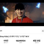 [스키즈] 뮤비 1800만뷰 (음<b>원스</b>밍하자)