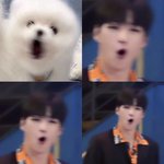 [강다니엘] 스트릿우먼파이터+(<b>MC</b> 리액션캠 list)