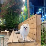 우당탕탕 우리메리3❤️