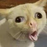 [19] 판남들아 ㅈㅂ 꽃휴 <b>빛삭</b>하지마