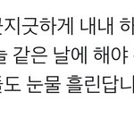 [<b>NCT</b>드림] 반응 좀 확인해라 에셈아