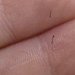 [드루와] 내 <b>눈썹털</b> ㅈㄴ 대박이지 않냐