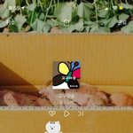 [이것좀봐줘] 아줌마<b>인척</b>하는 16살 친구 ㅜ.ㅜ