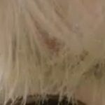 [NCT칠프] 뭐지