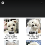 [<b>빛삭</b>] 지효 동생