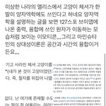 [NCT칠프] <b>이상한</b> 나라의 앨리스 해석 추가