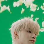 [NCT정우] <b>천재</b>강아지