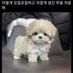 나 이거 프사 <b>애바</b>임??