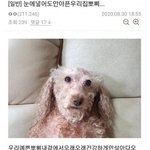 그냥 궁금해서 묻는건데 보통 <b>엄빠</b>가 의사처럼