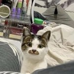 굿모닝