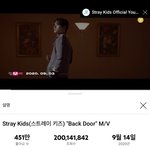 [스키즈] 백도어 2번째 2억뷰 <b>돌파</b>