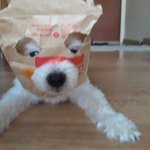 이거 <b>환불</b> 해 말아