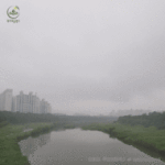 [이것좀봐줘] <b>미세</b>먼지 미쳤네요