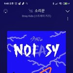 [스키즈] 백만년만에 앨범<b>사본</b> 할미테이