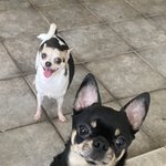 아 미친 <b>심</b>쿵쿵쿵쿵세<b>쿵</b>ㅇ심큥❤️❤️❤️❤️