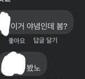 [댓글부탁해] 짝남 야갤하네