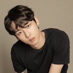 내 취향 조카 소나무