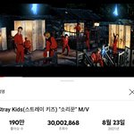 [스키즈] 뮤비 3000만❤️