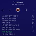 [스키즈] 용복이 틱톡 지금 봤는데