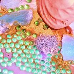 [NCT칠프] 이번 오브제 내 기준 <b>투탑</b>