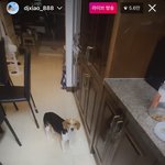 [NCT즌] <b>샤오쥔</b> 라방 ㅠㅠㅠ