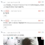 [진격의거인] 팬톡<b>병사</b>들 진짜 개웃김