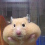 새벽반 친구들 <b>알러</b>뷰 내일도 화이팅