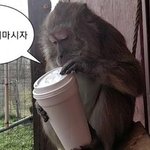 아이폰 처음 쓸때 <b>적응</b> 어려워?