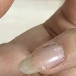 [댓글부탁해] ㅈ댓다 내 손톱 <b>어떡</b>해 ;;;