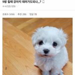 아디다스 <b>져지</b> 있는 사람 들어와바