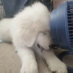 숙면 중인 귀요미들 '깨우지 <b>마세오</b>!'