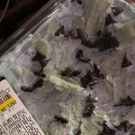 트레이더스 신상  <b>민초</b>