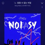 [스키즈] 플로 할수 있는 테이들아