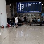 사쿠라 진짜 한국오나봐 찍<b>덕들</b>봐