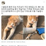 <b>야옹</b>이 사랑 레전드