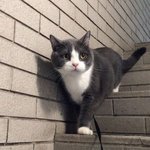 [댓글부탁해] <b>블로그</b> 서이추하쟝