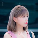 [드루와] 하이브 걸그룹 한명 빼고 다 <b>확정</b>임