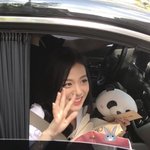 내가 모은 지수 <b>폰카</b>
