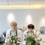 [NCT칠프] 얘네를 ㅎㅁ로 먹진 않지만